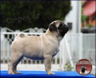 Mops �t��ata