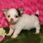  Registrovan� �ivava �t��ata