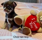 K� Registrovan� �ivavy na prodej