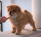 �au �au �t��ata