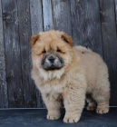 �au �au �t��ata