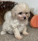 pudly, hra�ka �t��at