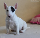 Mini bulteri�r �t��ata