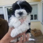 havansk� �t��ata