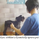  Kurzy st��h�n�, kurzy trimov�n� a kosmetick� �prava ps� = �ivnostensk� list