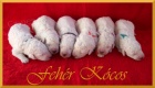 KOMONDOR - bl obr s dredy