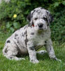 N�meck� doga - �t���