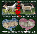 Golden Retriever �t��ata s PP