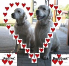 V�no�n� �t���tka 