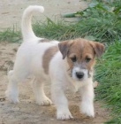 �t���tka JRT s PP k odb�ru!!