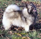 N�meck� �pic mal� �t��ata 