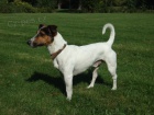 Nabídka krytí JRT Nabídka krytí JRT