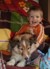 Sheltie Sheltie