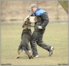 14. ro�n�k z�vodu podle NZ� o putovn� poh�r