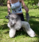 Pudl trpasli�� st��brn� s PP