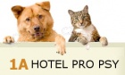 Hotel pro psy na cest� do Chorvatska