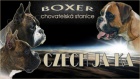 Boxer  �t��ata