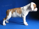 AMSTAFF �teniatka s PP