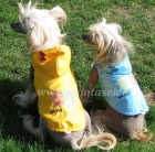 Ps� pot�eby Mon��sek