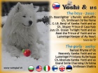 Kvalitn� �teniatka SAMOJED