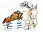 Horse and Home - jezdeck� sortiment pro kon� a psi
