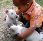 Prod�m Mini Bulteri�r �t��ata 