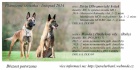 Belgick� ov��k Malinois s PP!!!