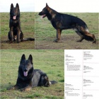 N�meck� ov��k s PP - ihned k odb�ru