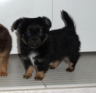 M�me �t���tka