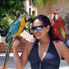 Rozkon papouci na prodej