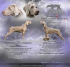 V�marsk� oha� s PP - VOLN� velmi nad�jn� CHLAPE�EK od 19.8.2015