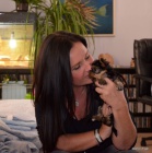 JORK��RSK� TERIER - �t���tka