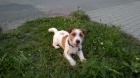 Krytí JRT Krytí JRT