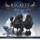 Pudl s PP - �t��ata