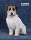 JRT Zandor Zaffiro Victory Garden nabídka krytí JRT Zandor Zaffiro Victory Garden nabídka krytí