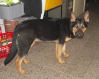 Kunín (okr.Nový Jičín) Kunín (okr.Nový Jičín)