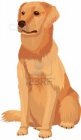 LABRADOŘI, RETRÍVŘI LABRADOŘI, RETRÍVŘI