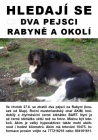 Hledají se dva pejsci - rabyně a okolí Hledají se dva pejsci - rabyně a okolí