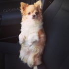 !!!!!!!!!! HLED� SE �IVAVA !!!!!!!!!!