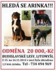 Ztracen� ber�a�ka Arinka - odm�na 20 000 K�!