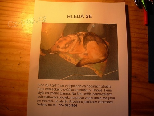 Ztracená fena ovčáka, Trnové, Praha-západ Ztracená fena ovčáka, Trnové, Praha-západ