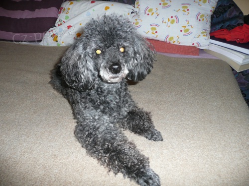 Prosime o pomoc, Star� M�sto, Uhersk� Hradi�t�