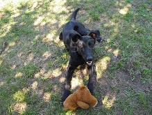 PROS�M POMOZTE MU NAJ�T CESTU DOMU