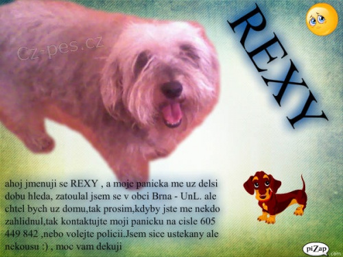 Hledá se Rexík  Hledá se Rexík
