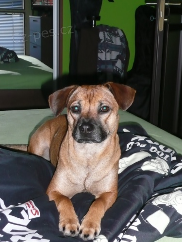 PROS�M V��MAV� LIDI�KY ST�LE HLED�M SABRINKU!!!!!