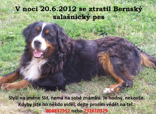 Bernsk� sala�nick� pec