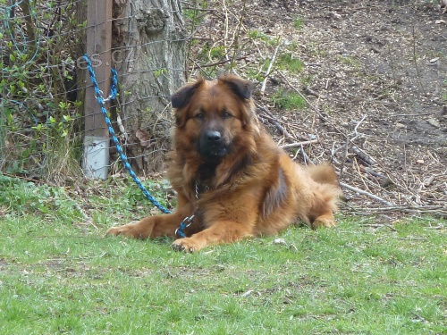 ST�LE HLED�ME! - odm�na 10.000,-K�