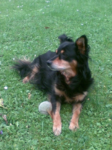 ST�LE SE HLED� KARINKA !!! �ST� NAD LABEM