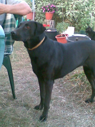 Hled� se Sally z Neratovic