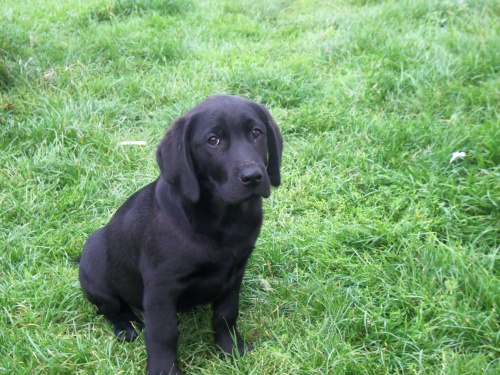 Pros�me o pomoc :( !!!!!